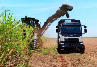 Önvezető teherautóval gyűjtik a cukornádat Brazíliában