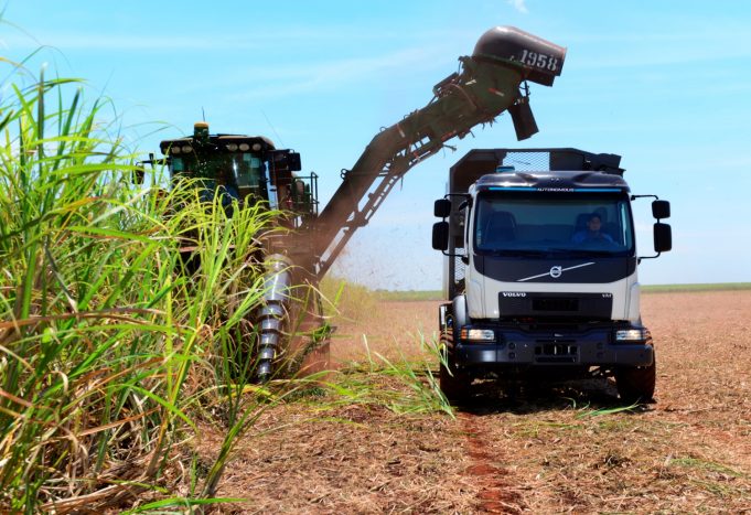 Önvezető teherautóval gyűjtik a cukornádat Brazíliában