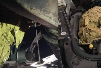 A hölgy ablakmosót töltött az autóba, csak az a baj, hogy rossz helyre