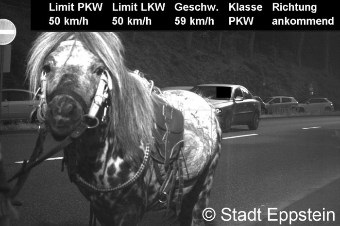 Itt az év traffipaxfotója, ezzel úszta meg a büntetést 1