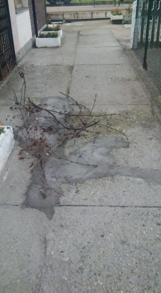 A nagykőrösi vasútállomáson fotózták az év betonozását 1 | Vezess A nagykőrösi vasútállomáson fotózták az év betonozását 1