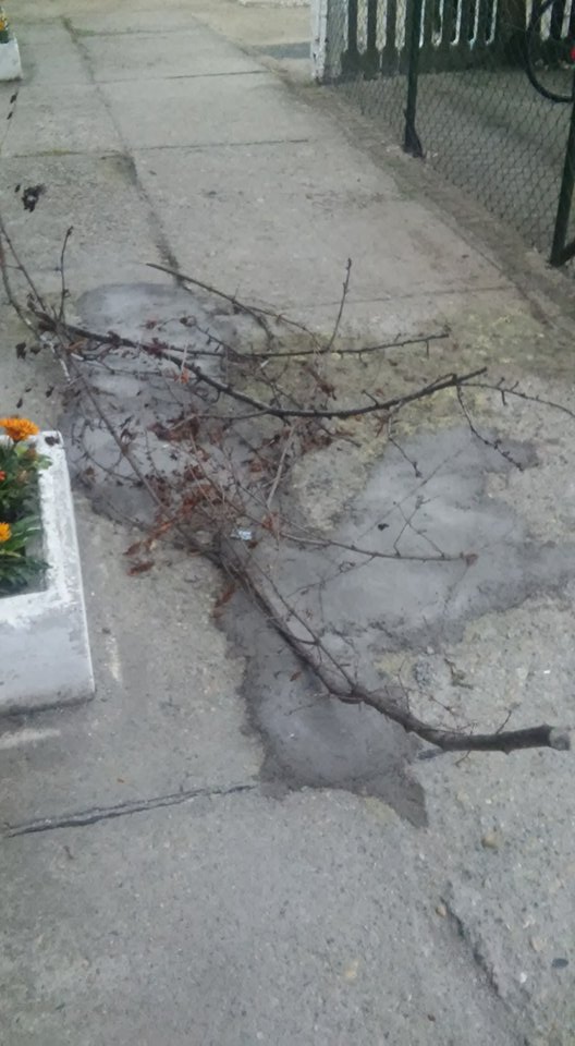 A nagykőrösi vasútállomáson fotózták az év betonozását 2 | Vezess A nagykőrösi vasútállomáson fotózták az év betonozását 2