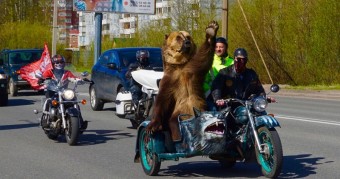 Motoron ülve integetett az orosz medve 