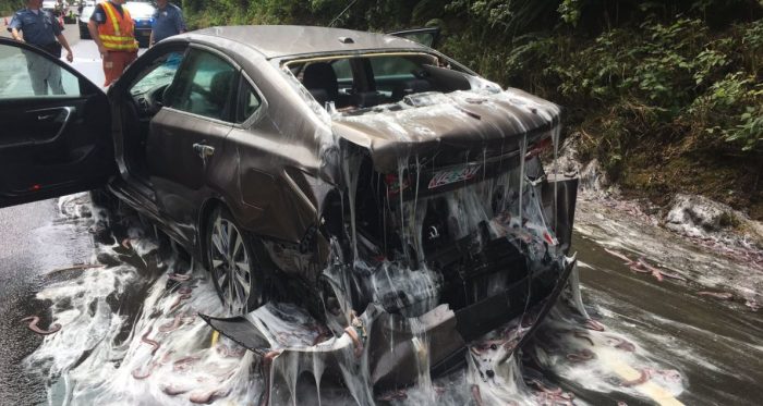 Ennyire undorító dolog autóval még nem történt 1