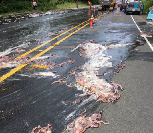 Ennyire undorító dolog autóval még nem történt 3