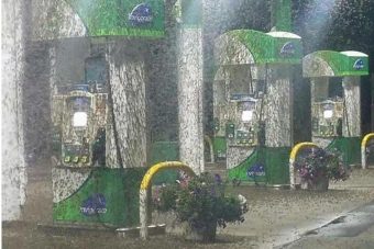 A nap képe - óriási rovarinvázió egy benzinkúton