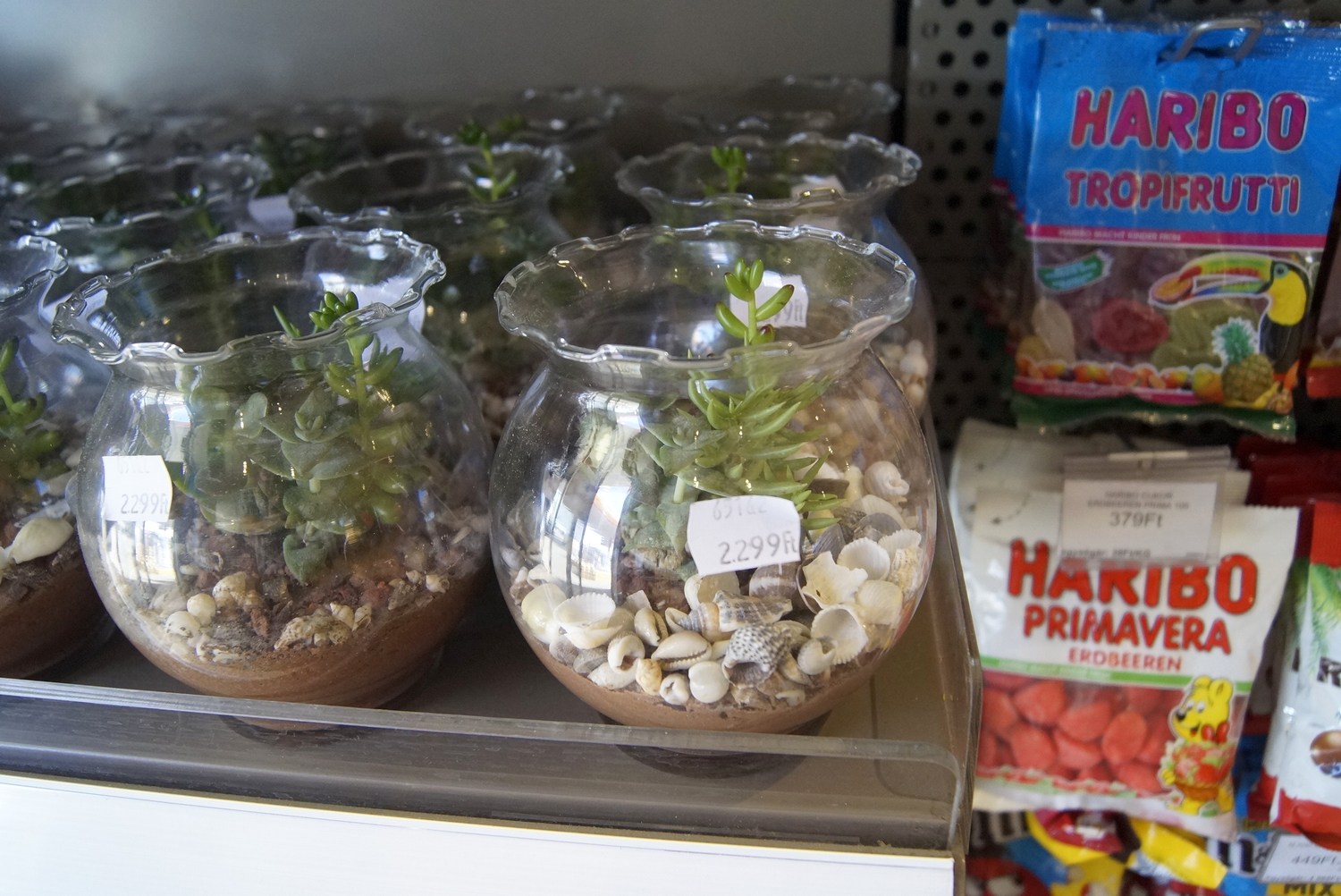 13+1 cucc, amire nem számítanál egy benzinkúti shopban 15