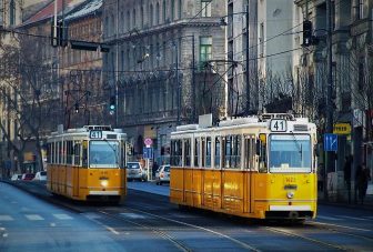 Szájkosár és póráz nélkül vitt fel a villamosra két harci kutyát