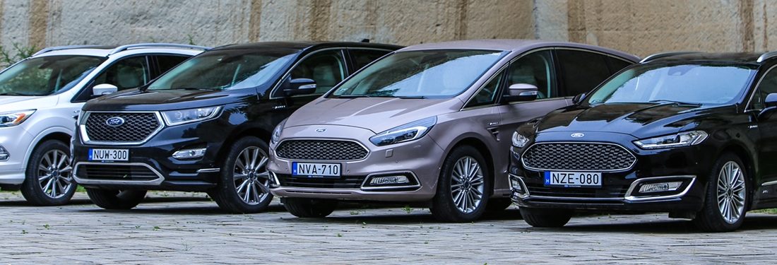 Krómozott Fordok, gazdagon bőrözve