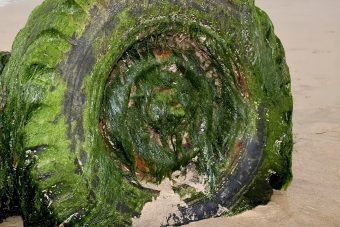 Az autó, ami 27 éve süllyedt el, most előkerült