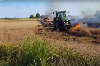 Videón a lángoló búzamezővel harcoló magyar gazda
