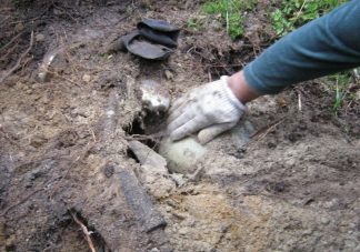 Csodás kincsre leltek az erdőben ásó oroszok