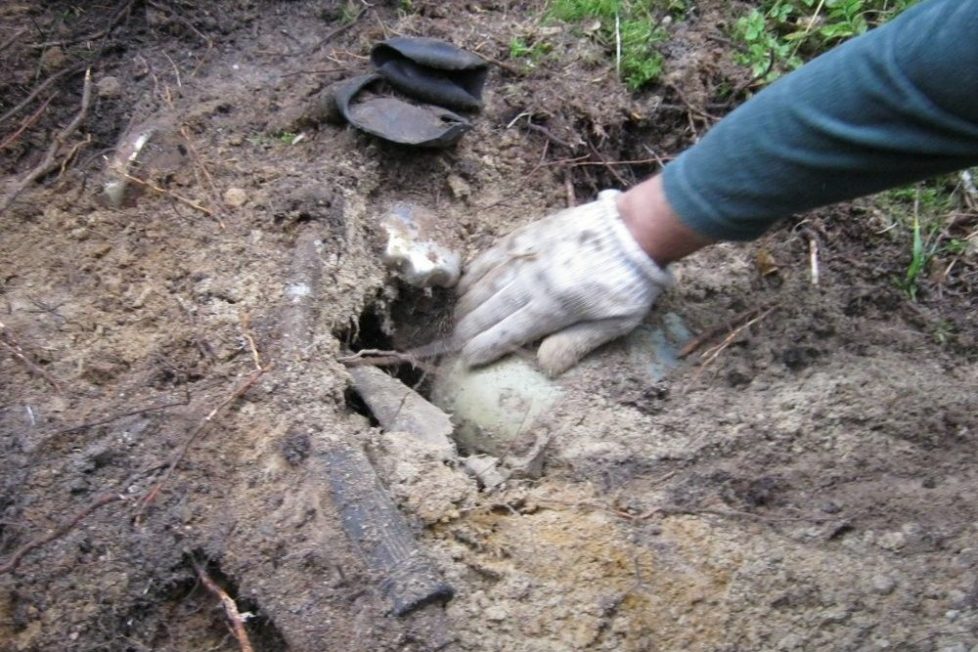 Csodás kincsre leltek az erdőben ásó oroszok 1