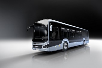 Megújul a németek városi oroszlánja