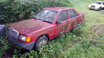 Csodát tettek az évek óta szabad ég alatt álló Mercedesszel a takarítók