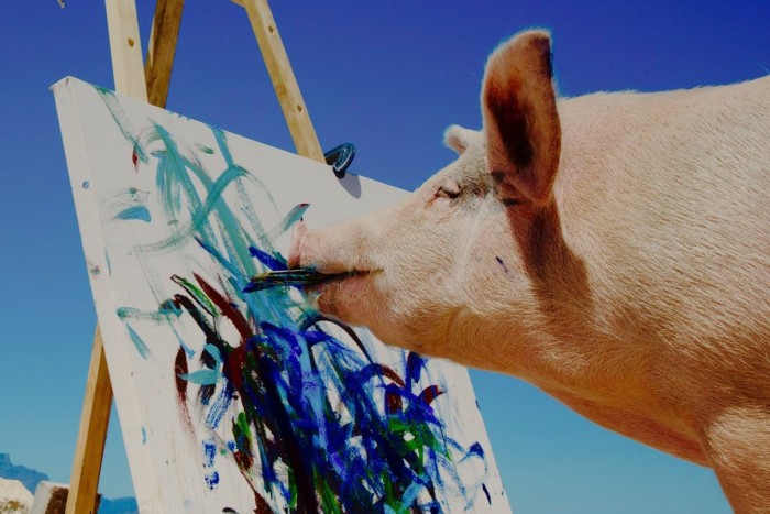 Egy disznó tervezte a Nissan új tesztpályáját