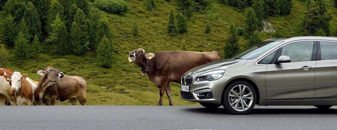 5 egyterű, amivel apa is boldog lesz