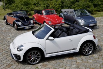 Bogárinvázió várható a Balti-tenger partvidékén