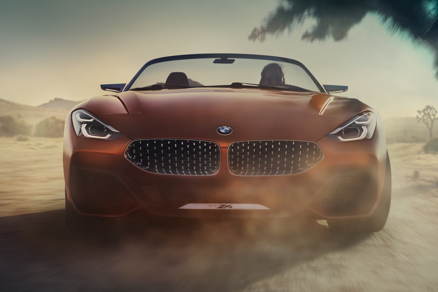 BMW Concept Z4: lényegre tör 6