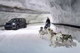 Autóverseny szánhúzó kutyákkal