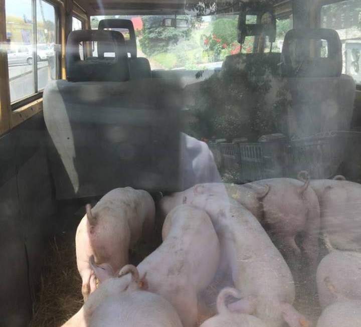 11 sírva röhögős fotó a műhelyek mélyéről 2 | Vezess 11 sírva röhögős fotó a műhelyek mélyéről 2