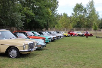 Amikor az asszony szava szent