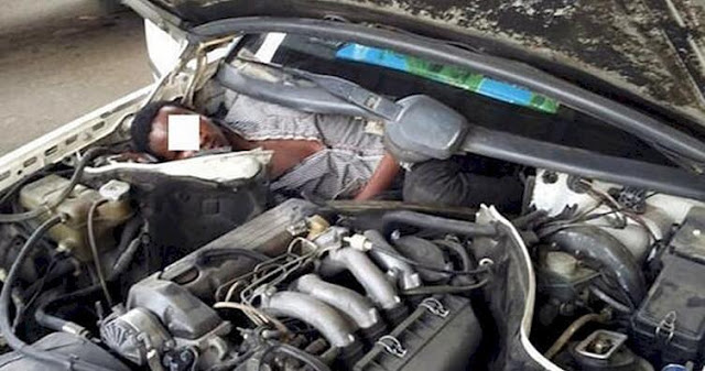 Eszement módszerekkel csempészik az embereket a mexikói határnál 7