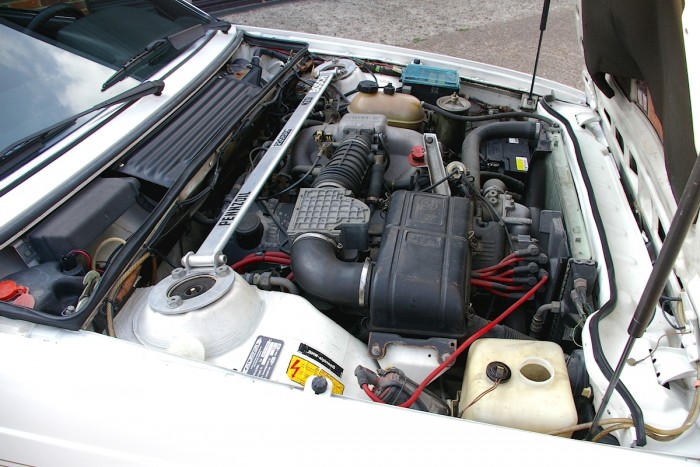 Ha rettentő ritka fehér cápára vágysz, akkor eljött a te időd! 7