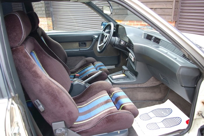 Ha rettentő ritka fehér cápára vágysz, akkor eljött a te időd! 6