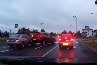 Tragikus jelenet egy lengyel zebránál