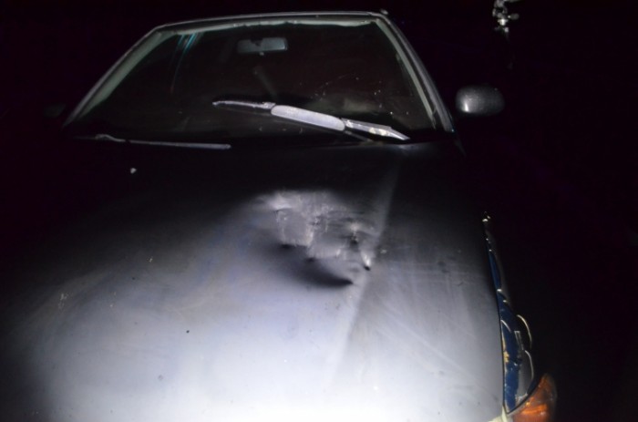 Életveszély, követ dobtak egy autóra az M19-esen