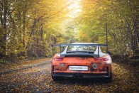 Ennél vagányabb Porsche 911-es nincs ma 26