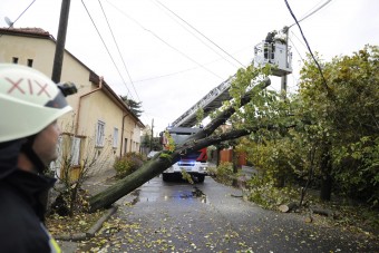 Fakidőlések nehezíthetik a közlekedést hétvégén