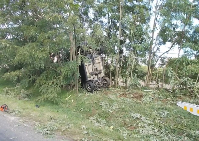 Felrepült a fára egy autó Tatán, fotókon a baleset 1