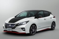 Elektromos sportmodellel készül a Nissan 12