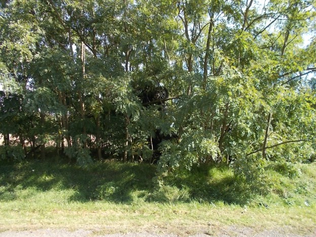 Felrepült a fára egy autó Tatán, fotókon a baleset 5