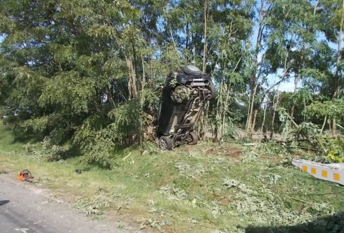 Felrepült a fára egy autó Tatán, fotókon a baleset 3