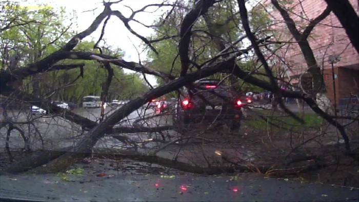 Lecsapott az orkán, fotókon a járhatatlan utak 3