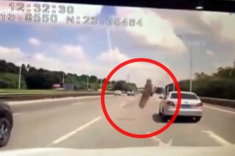 Villámgyorsan ugrott útról a szélvédőre a fadarab