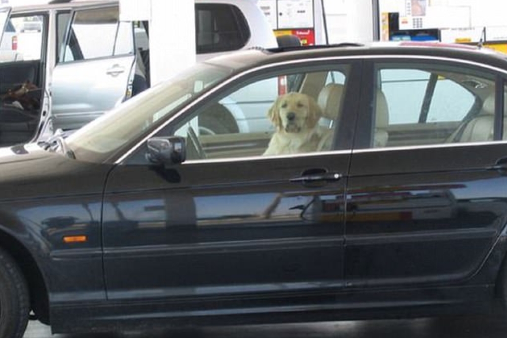 kreten2 | Vezess | Vezess