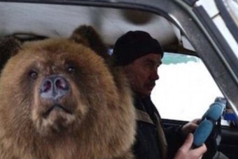 Meglepő emberek ülnek a kormány mögött