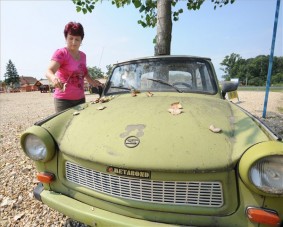 Nyárfa nőtt ki egy Trabantból a 42-es főút mellett