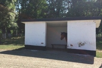 Ennél a tíz buszmegállóban készült képnél ma már úgysem lesz jobb