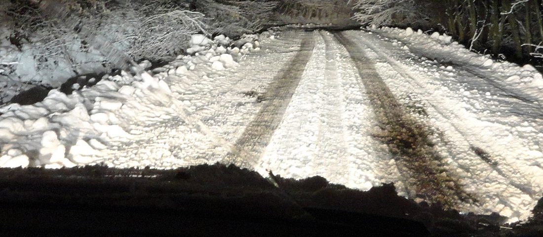 Ezek a legjobb négy évszakos gumik