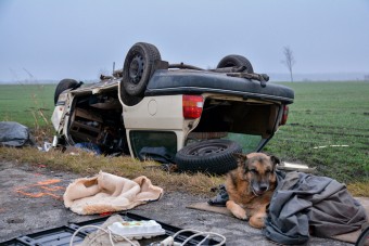 Fotón a szívszaggató apostagi tragédia