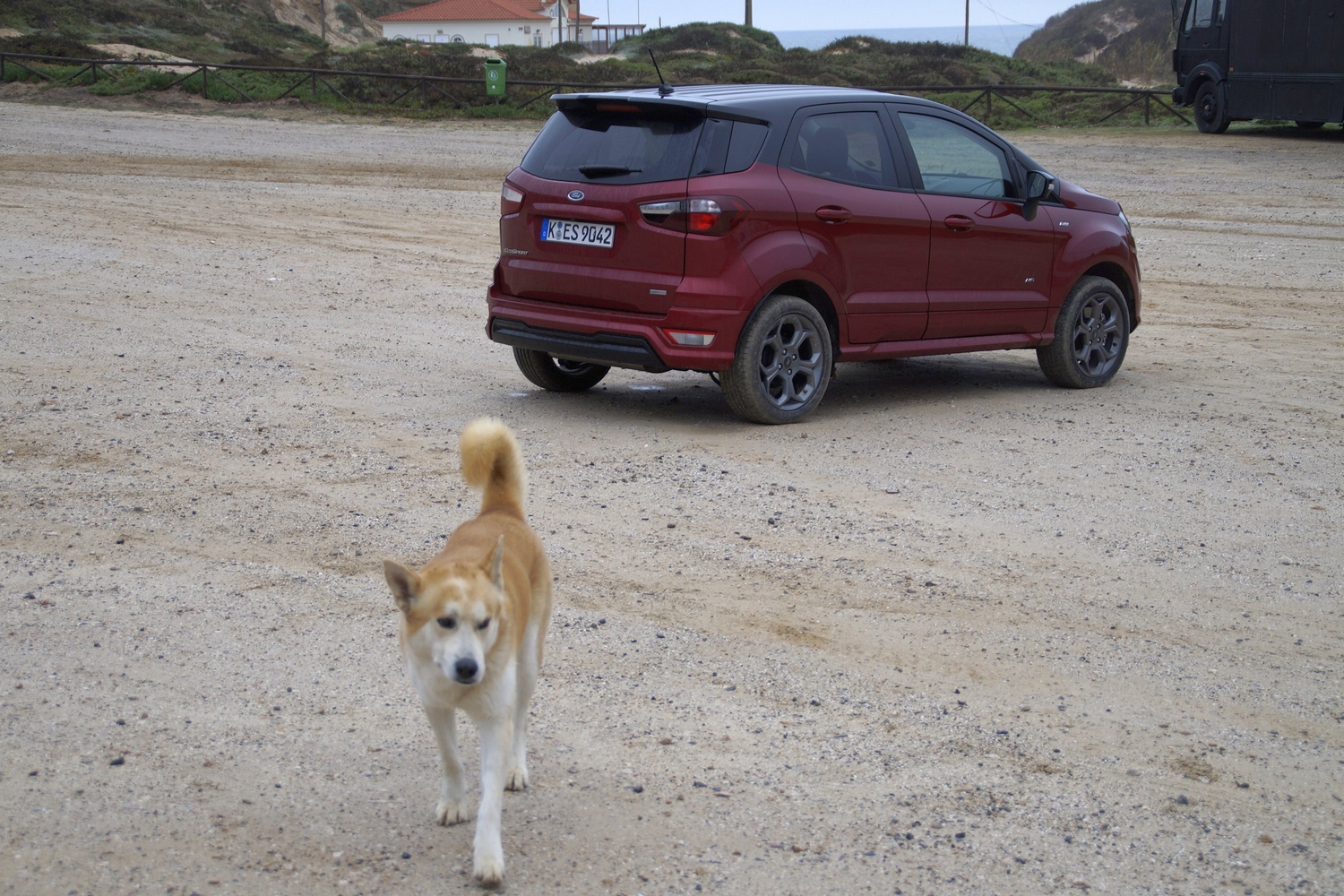 Ez a Ford be fog kerülni a marketingtankönyvekbe esettanulmányként 53