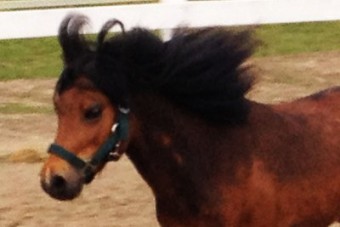 Minden kislány álmát teljesíti a Volkswagen