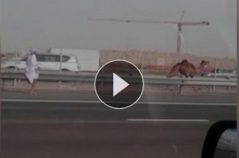 Ennél viccesebb jelenetet nem láthatsz autópályán