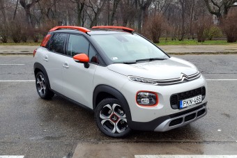 Zseni bohócruhában?