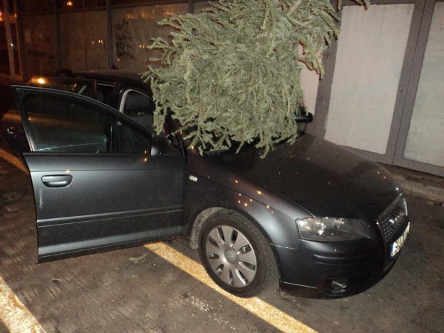 Egy komplett karácsonyfát állítottak az Audi szélvédőjébe 1